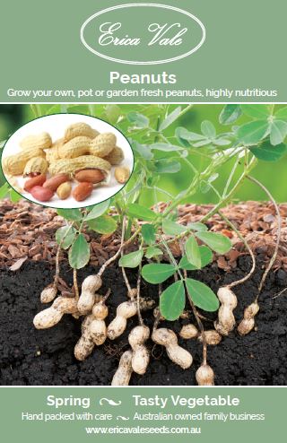 Peanuts